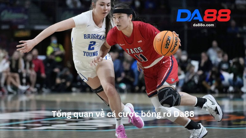 Cá Cược Bóng Rổ 